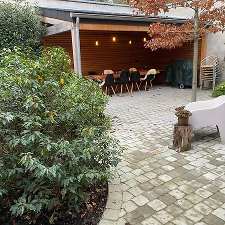 La Tete Dans Les Etoiles *